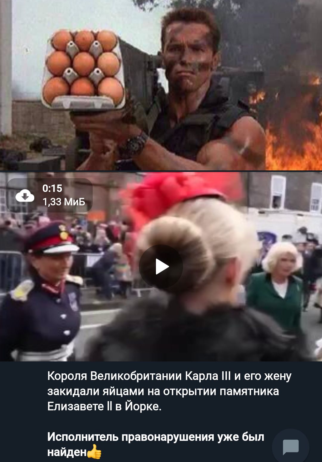 Короля Великобритании Карпа и его жену закидали яйцами на открыти памятника Елизавете в Йорке Исполнитель правонарушения уже Был найден