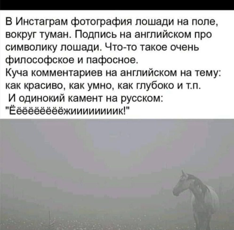В Инстаграм фотография лошади на поле вокруг туман Подпись на английском про символику лошади Что то такое очень философское и пафосное Куча комментариев на английском на тему как красиво как умно как глубоко и тп И одинокий камент на русском ЕёёёеёёёёжиииииииикГ
