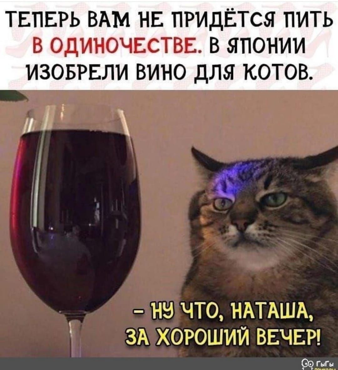ТЕПЕРЬ ВАМ НЕ ПРИДЁТСЯ ПИТЬ В ОДИНОЧЕСТВЕ В ЯПОНИИ ИЗОБРЕЛИ ВИНО для КОТОВ НЕ ЧТО НАТАША ЗА ХОРОШИЙ ВЕЧЕР
