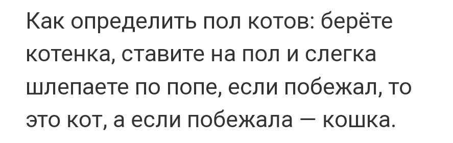 Как определить поп котов берёте котенка ставите на ПОП И слегка шпепаете ПО ПОПЕ если ПОбЭЖаЛ ТО ЭТО КОТ а ЕСЛИ побежала _ кошка