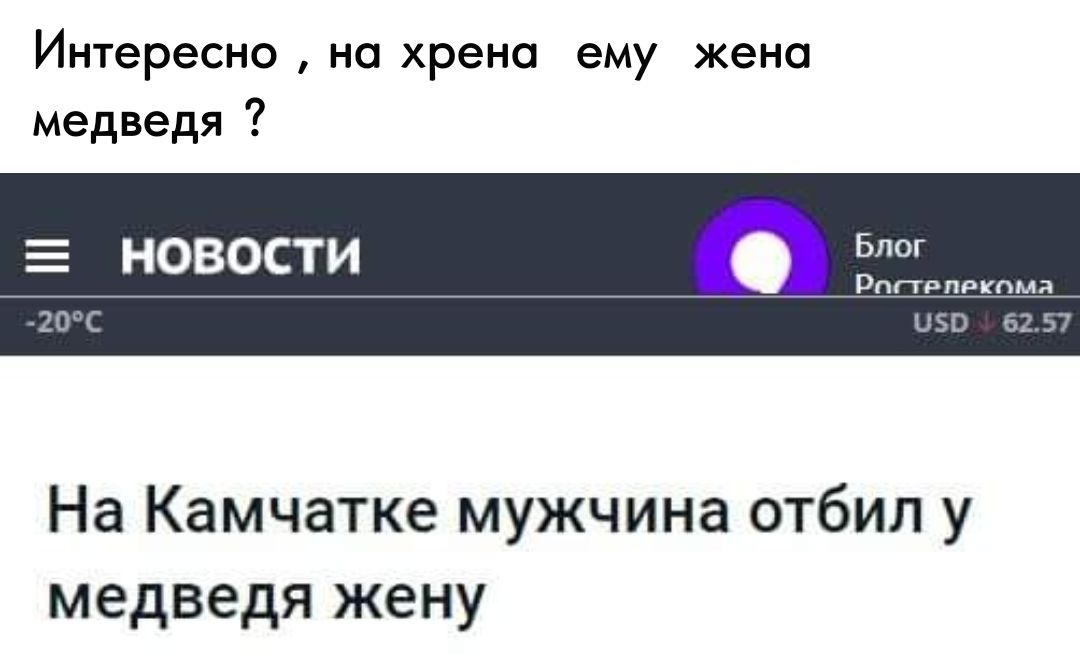 Интересно на хрена ему жена медведя НОВОСТИ На Камчатке мужчина отбил у медведя жену