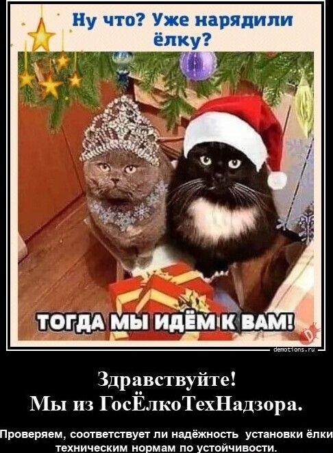 Здравствуйте 11ы из ГосЕлкоТехНадюри Проверяем сошшавуег пи иалёжноаь установки елки пхпичиским иопмдм по Упойчипши