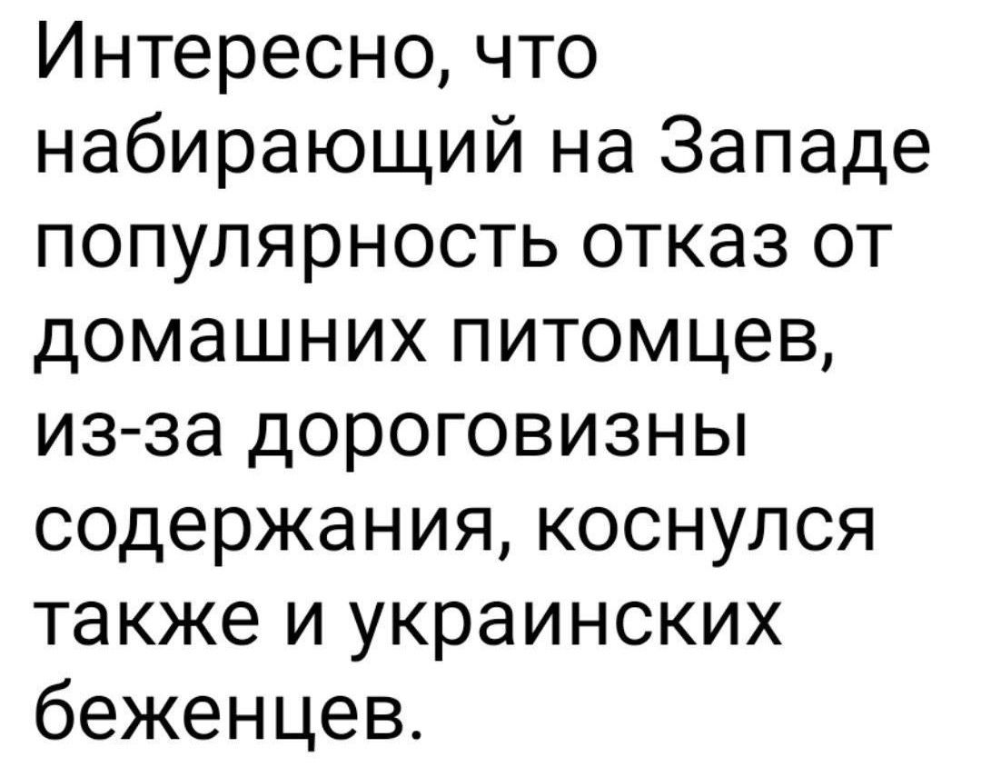 Интересно что набирающий на Западе популярность отказ от домашних питомцев из за дороговизны содержания коснулся также и украинских беженцев