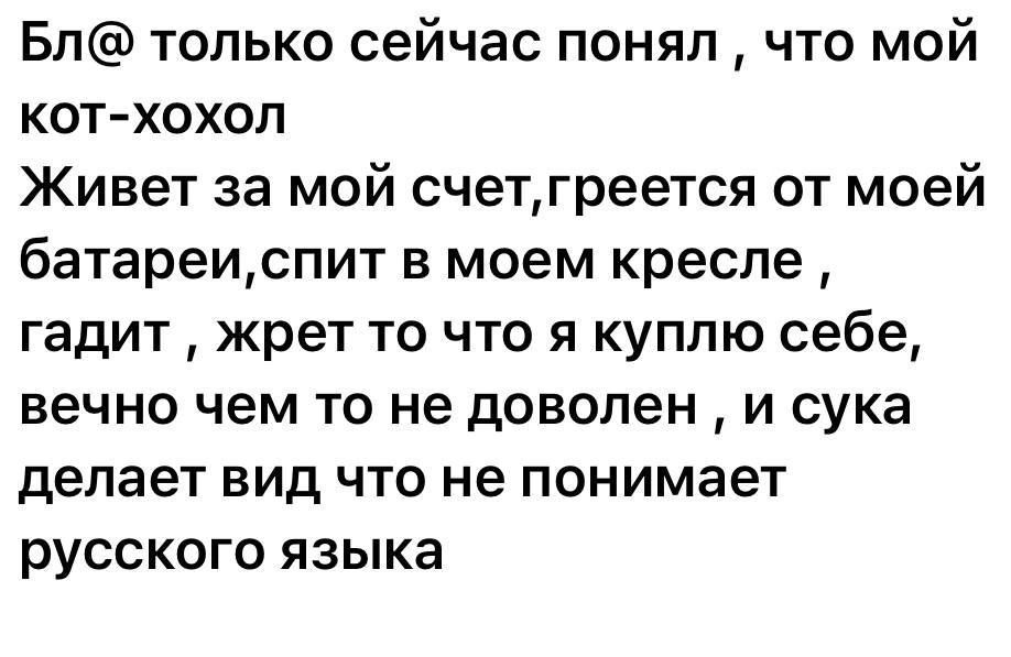 Бл только сейчас понял что мой КОТ ХОХОП Живет за мой счетгреется от моей батареиспит в моем кресле гадит жрет то что я куплю себе вечно чем ТО не доволен И сука делает вид что не понимает русского языка