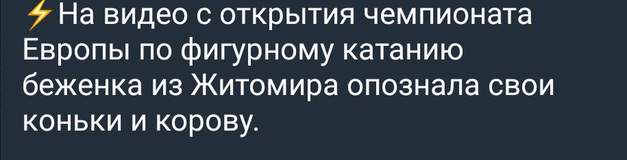 На видео с открытия чемпионата Европы по фигурному катанию беженка из Житомира опознала свои КОНЬКИ И КОРОВУ