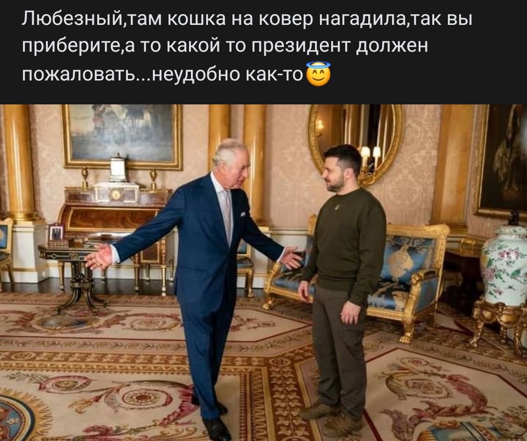 Пюбезныйдам кошка на ковер нагадипадак вы приберипъа То какой то президент должен пожелцватьнеудобно както