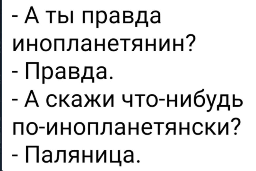 А ты правда инопланетянин Правда А скажи что нибудь поинопланетянски Паляница
