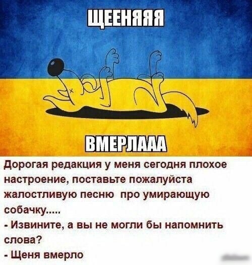 Ш РММ дорогая редакция у меня сегодня плохое настроение поставьте пожалуйста капостпивую песню про умирающую собачку Извините а вы не могли бы напомнить слова Щеня вмерла