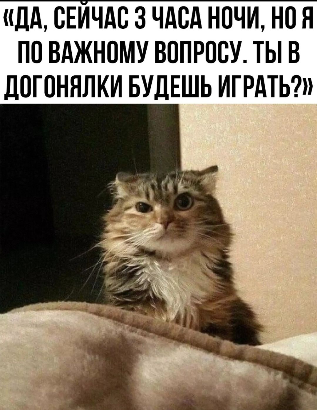 ДА БЕИЧАП 3 ЧАСА НОЧИ НО Я по ВАЖНПМУ ВОПРОСУ ТЫ В ЛПГПНЯЛКИ БУДЕШЬ ИГРАТЬ