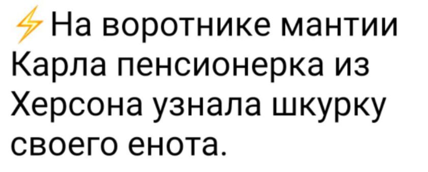 На воротнике мантии Карла пенсионерка из Херсона узнала шкурку своего енота