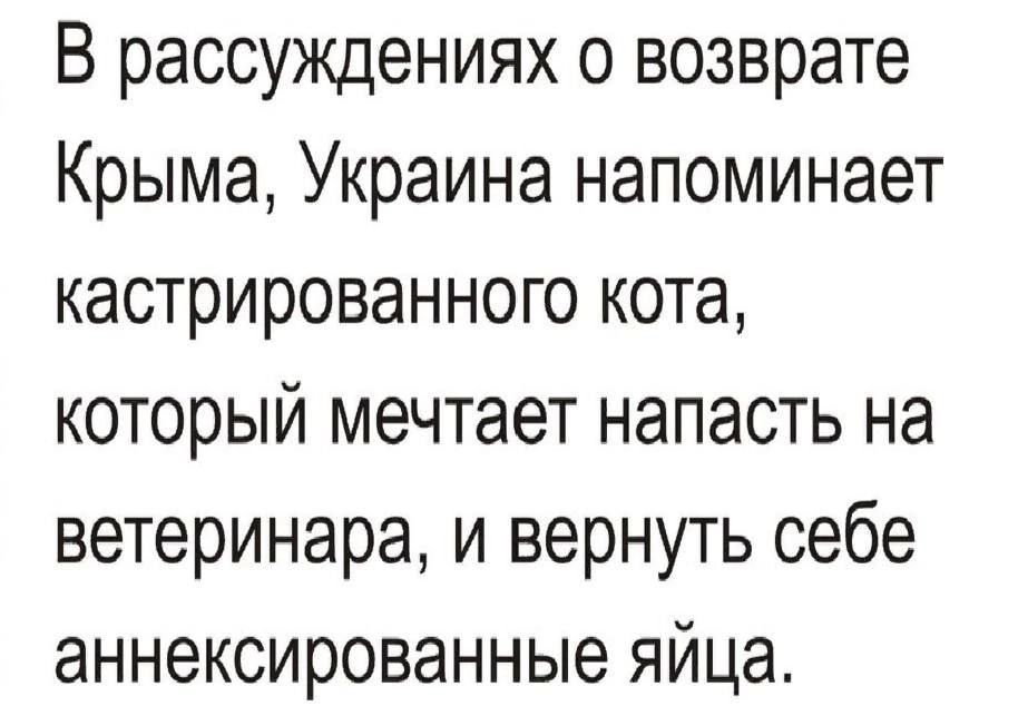 В рассуждениях о возврате Крыма Украина напоминает кастрированного кота который мечтает напасть на ветеринара и вернуть себе аннексированные яйца