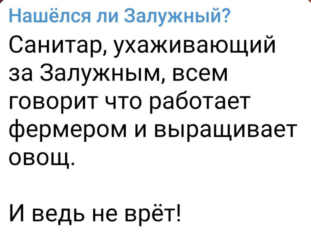 Нашёлся ли Залужный Санитар ухаживающий за Залужным всем говорит что работает фермером и выращивает овощ И ведь не врёт