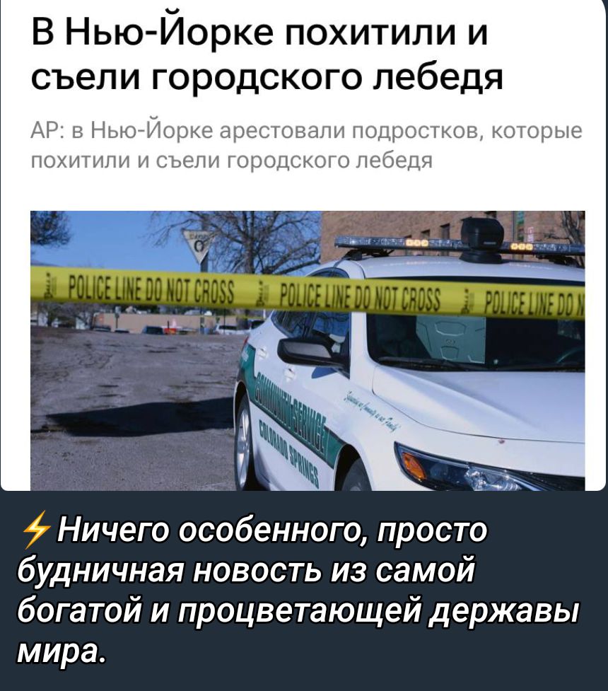 В Нью Йорке похитили и съели городского лебедя Ничего особенного просто будничная новость из самой богатой и процветающей державы мира