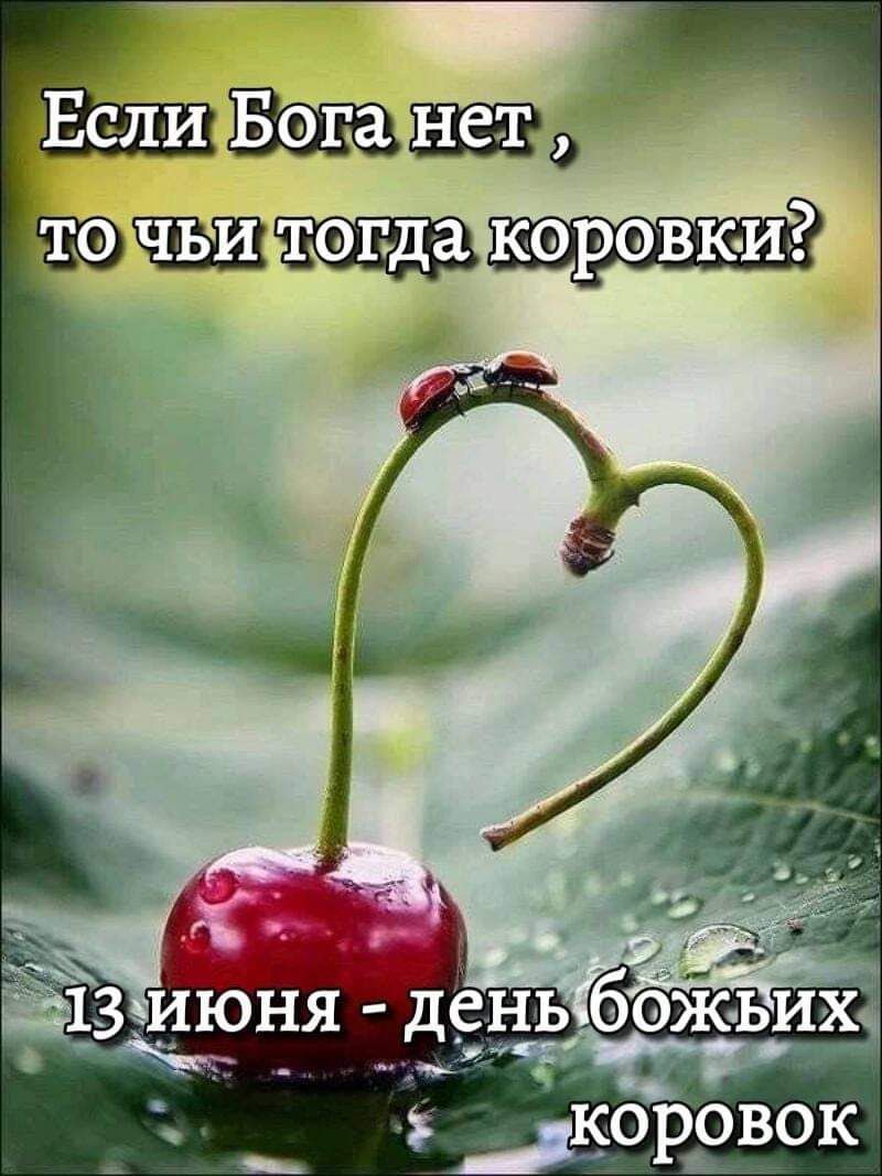 илшь