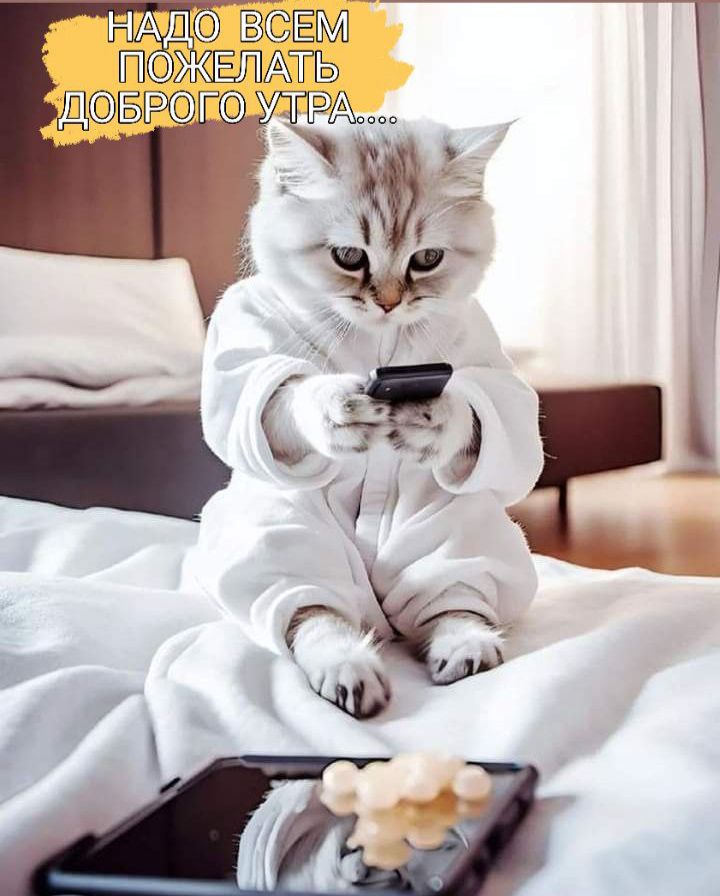 г по ВЁЁМ ш А