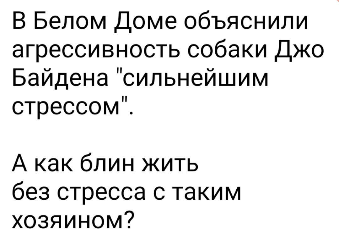 В Белом Доме объяснили агрессивность собаки Джо Байдена сильнейшим стрессом А как блин жить без стресса с таким хозяином