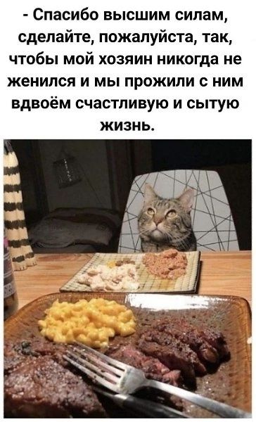 Спасибо высшим силам сделайте пожалуйста так чтобы мой хозяин никогда не женился и мы прожили с ним вдвоём счастливую и сытую