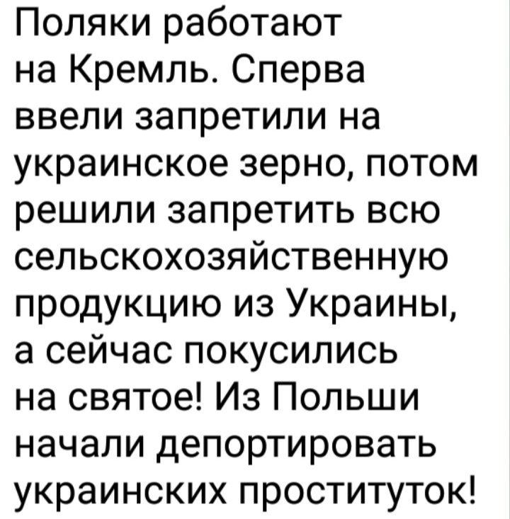 Поляки работают на Кремль Сперва ввели запретили на украинское зерно потом решили запретить всю сельскохозяйственную продукцию из Украины а сейчас покусились на святое Из Польши начали депортировать украинских проституток