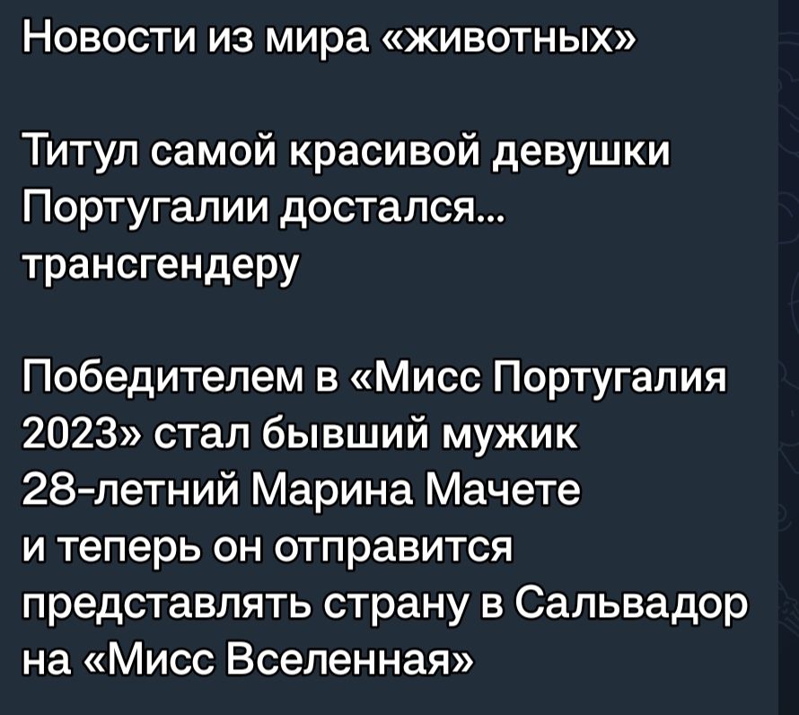 НОВОСТИ ИЗ мира ЖИВОТНЫХ Титул самой красивой девушки Португалии достался трансгендеру Победителем в Мисс Португалия 2023 стал бывший мужик 28летний Марина Мачете и теперь он отправится представлять страну 5 Сальвадор на Мисс Вселенная