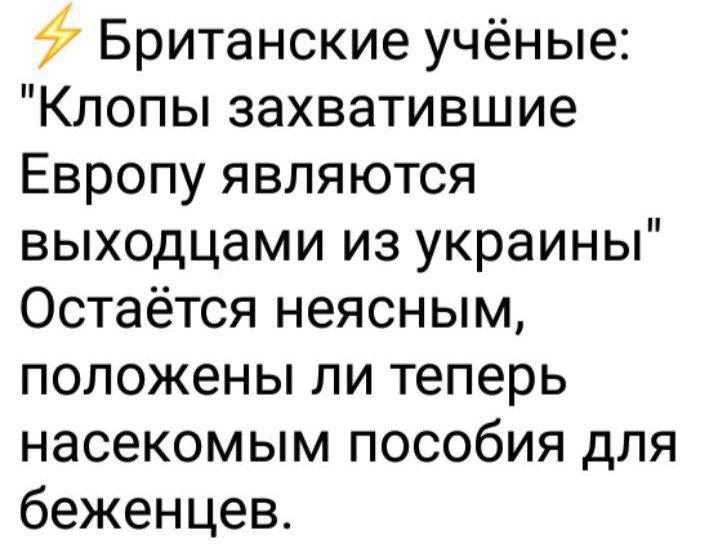 Британские учёные Клопы захватившие Европу являются выходцами из украины Остаётся неясным положены ли теперь насекомым пособия для беженцев