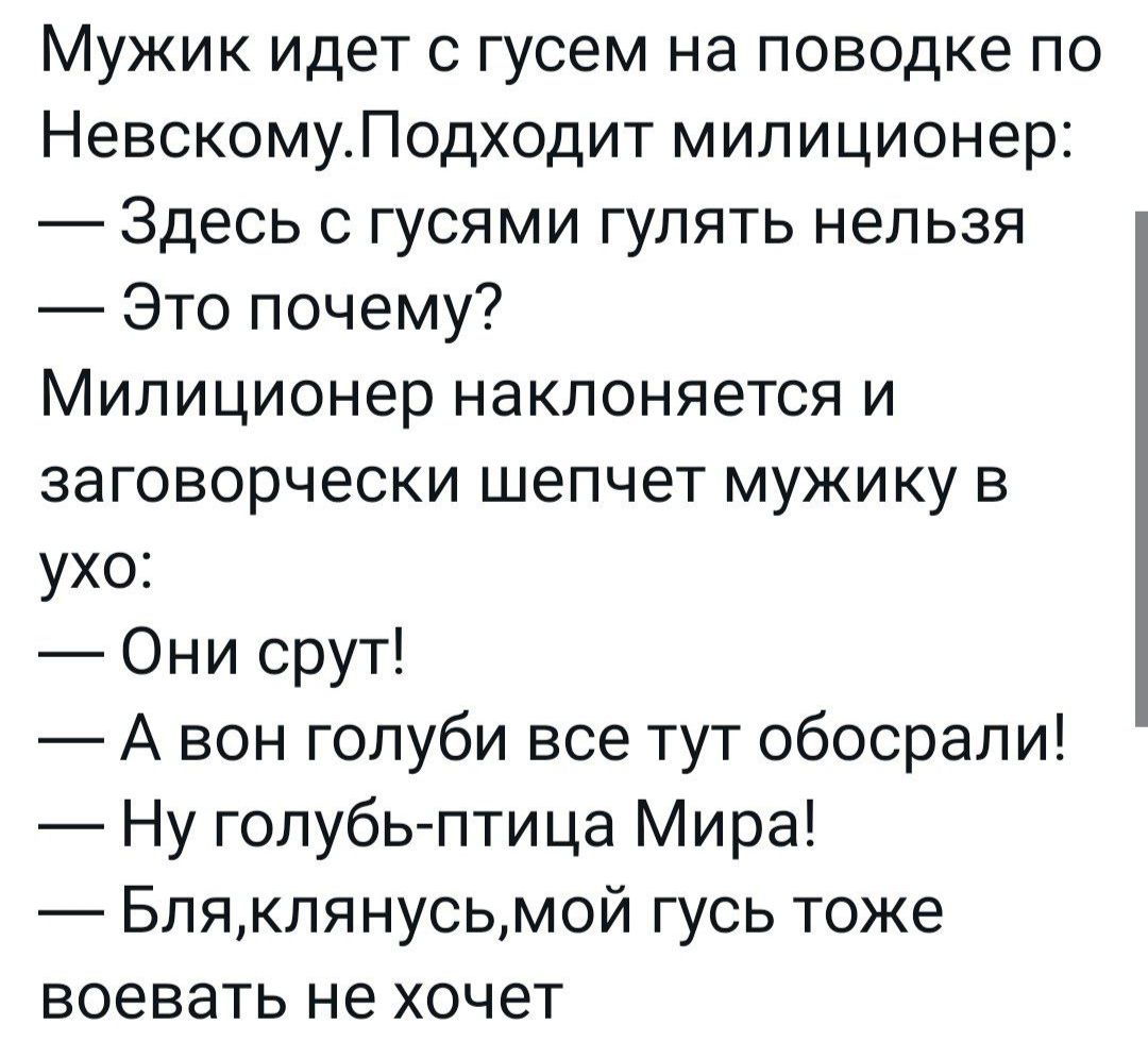 Мужик идет с гусем на поводке по НевскомуЛодходит милиционер Здесь с гусями гулять нельзя Это почему Милиционер наклоняется и ЗЭГОВОРЧеСКИ шепчет МУЖИКУ В ухо Они срут А вон голуби все тут обосрапи Ну голубь птица Мира Блякпянусьмой гусь тоже воевать не хочет