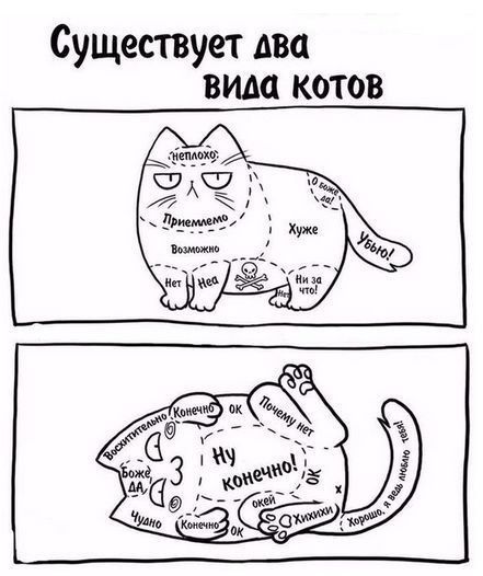 Существует два вида котов