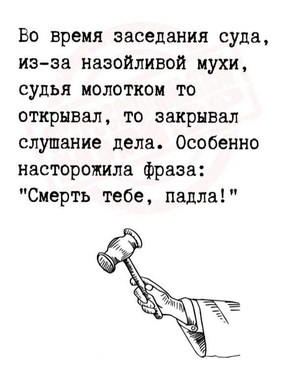 Во время заседания суда иэ за назойливой мухи судья молотком то открывал то закрывал слушание дела Особенно насторожила фраза Смерть тебе падла