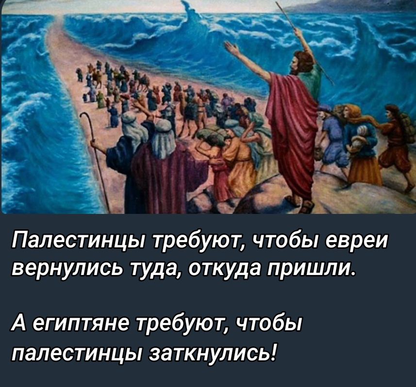 Палестинцы требуют чтобы евреи вернулись туда откуда пришли А египтяне требуют чтобы ПЗЛЕСТИНЦЬ ЗЗТКНУЛИСЬ