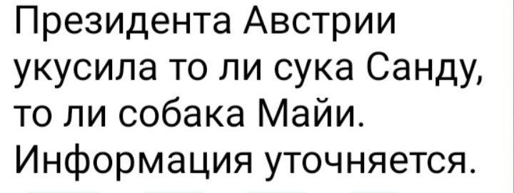 Президента Австрии укусила то ли сука Санду то ли собака Майи Информация уточняется