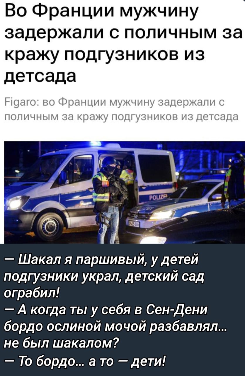 Во Франции мужчину задержали с поличным за кражу подгузников из детсад ум и Шакал я паршивый у детей подгузники украл детский сад ограбил А когда ты у себя в Сен Дени бордо ослиной мочой разбавляя не был шакалом То бордо а то дети