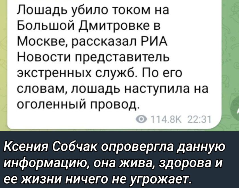 Лошадь убило током на Большой дмитровке в Москве рассказал РИА Новости представитель экстренных служб По его словам лошадь наступила на оголенный провода Ксения Собчак опровергла данную информацию ана жива здорова и ее ЖИЗНИ НИЧЕГО не угрожает