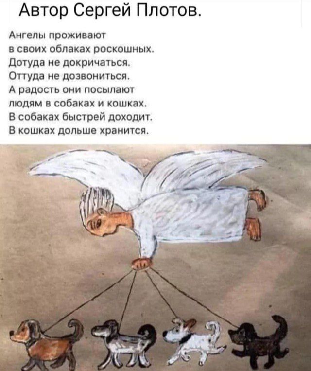 Автор Сергей Плотов Анголы дрожи ат сюих ибп ках роскоши двтуда не двкричатьсп Оттуда и делиться А вплоть они посыл ип людим свет и кошках в син кп быстрой покорит в кошки помше хранится