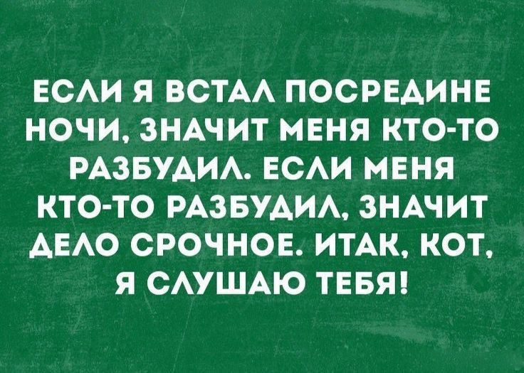 ЕСАИ Я ВСТАА ПОСРЕАИНЕ НОЧИ ЗНАЧИТ МЕНЯ КТО ТО РАЗБУАИА ЕСАИ МЕНЯ КТО ТО РАЗБУАИА ЗНАЧИТ АЕАО СРОЧНОЕ ИТАК КОТ Я САУШАЮ ТЕБЯ