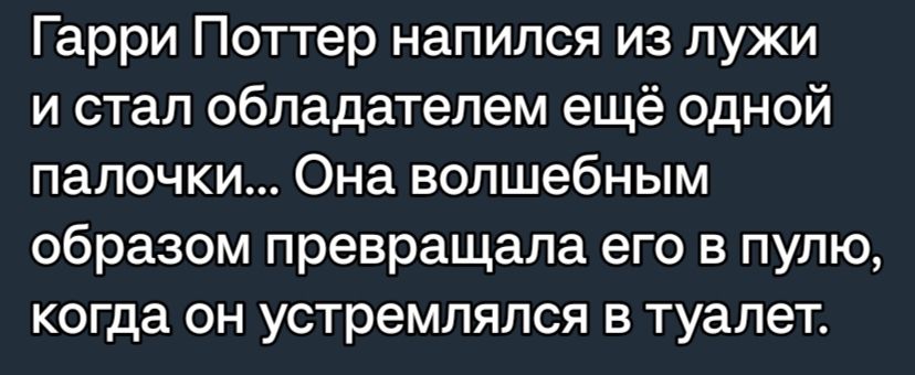 Гарри Поттер напился из лужи и стал обладателем ещё одной палочки Она волшебным образом превращапа его в пулю когда он устремпяпся в туалет