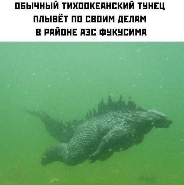 ПЕЫЧНЫЙ ТИХППКЕПНЕКИЙ ТЦНЕЦ ППЫЕЁТ ПП ЕБПИН дЕЛПМ В РЯЙПНЕ ПЗС ФЦКЦЕИМП