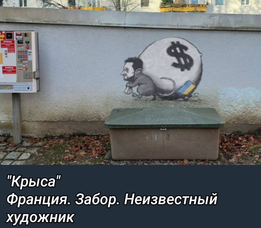 Крыса Франция Забор Неизвестный художник