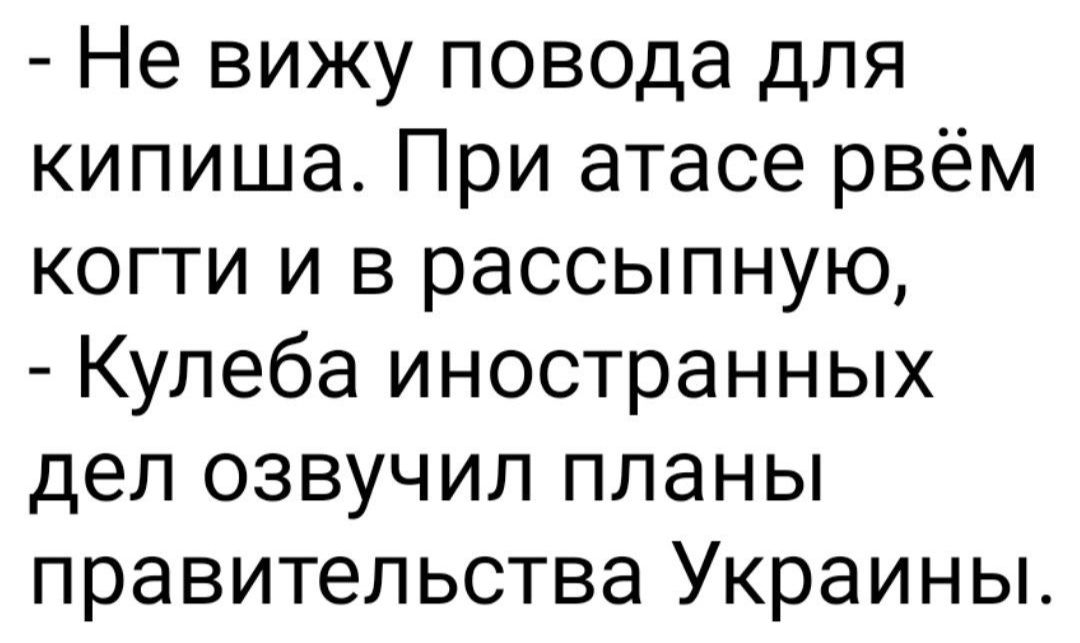 Не вижу повода для кипиша При атасе рвём когти и в рассыпную Кулеба иностранных дел озвучил планы правительства Украины