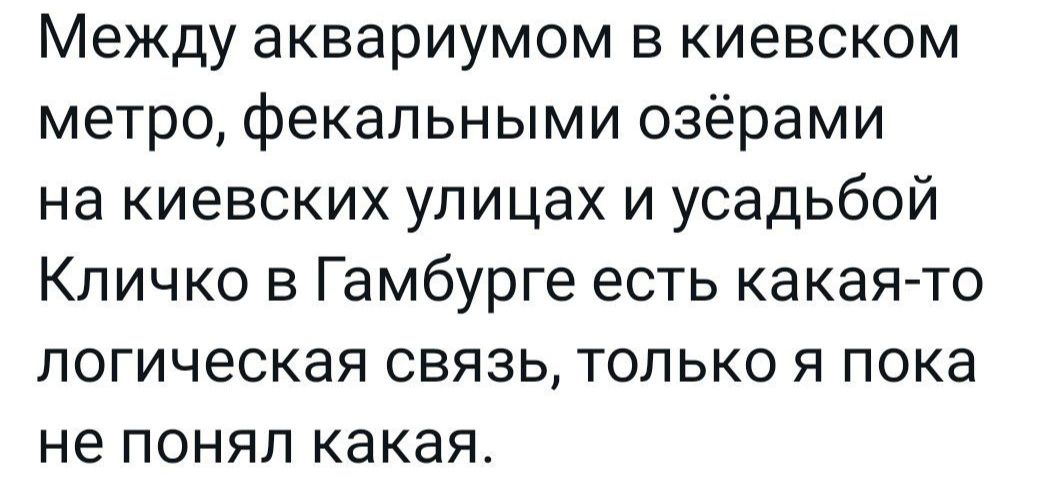 Между аквариумом в киевском метро фекальными озёрами на киевских улицах и усадьбой Кличко в Гамбурге есть какаято логическая связь только я пока не понял какая