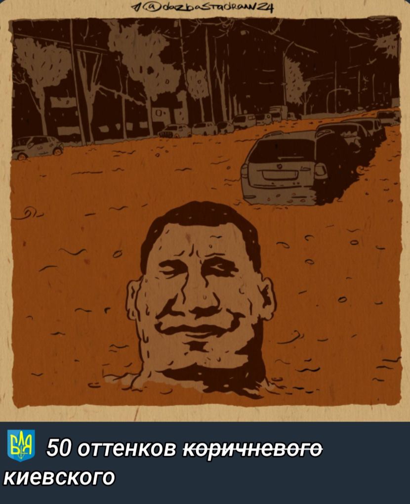 1щтлшад 50 оттенков коричневж киевского