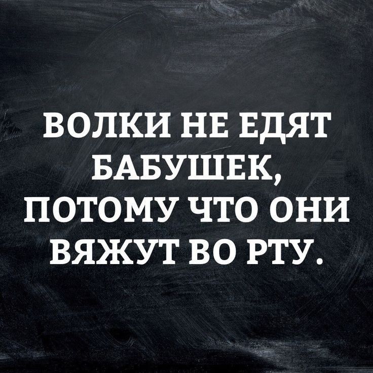 ВОЛКИ НЕ ЕДЯТ БАБУШЕК ПОТОМУ ЧТО ОНИ ВЯЖУТ ВО РТУ