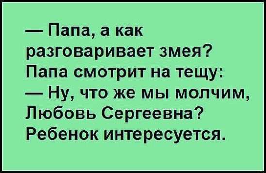 Папа а как разговаривает змея Папа смотрит на тещу Ну что же мы молчим Любовь Сергеевна Ребенок интересуется