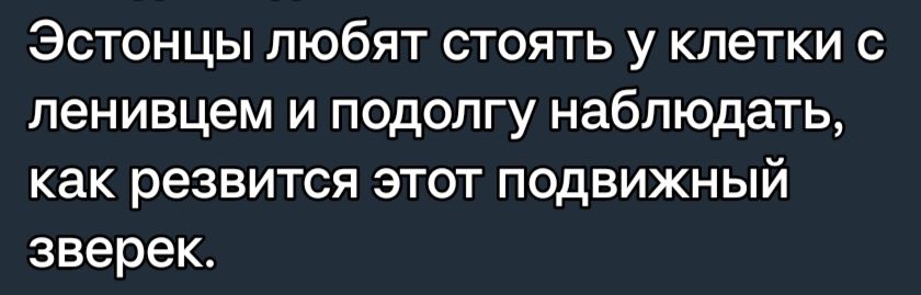 Эстонцы любят стоять у клетки с ленивцем и подолгу наблюдать как резвится этот подвижный зверек