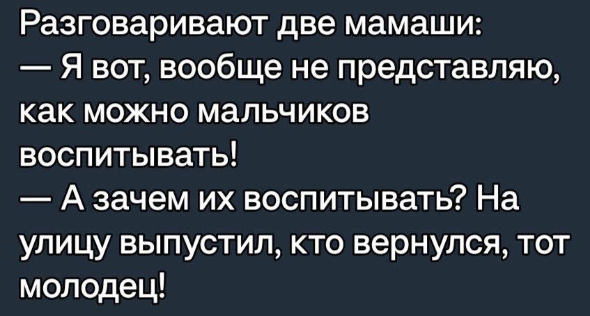 Разговаривают две мамаши Я вот вообще не представляю как можно мальчиков воспитывать А зачем их воспитывать На улицу выпустил кто вернулся тот молодец