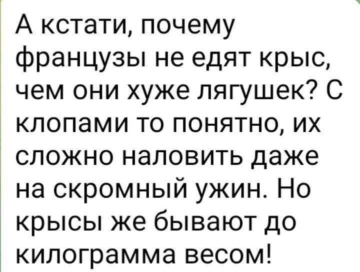 А кстати почему французы не едят крыс чем они хуже лягушек С клопами то понятно их сложно наловить даже на скромный ужин Но крысы же бывают до килограмма весом