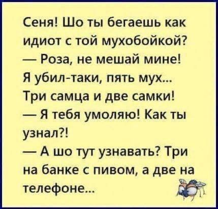 Сеня Шо ты бегаешь как идиот с той мухобойкой Роза не мешай мине Я убилтаки пять мух Три самца и две самки Я тебя умоляю Как ты узнал А шо тут узнавать Три на банке с пивом а две на телефоне