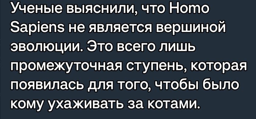 Ученые выяснили что Ното Заріепэ не является вершиной эволюции Это всего лишь промежуточная ступень которая появилась для того чтобы было кому ухаживать за котами