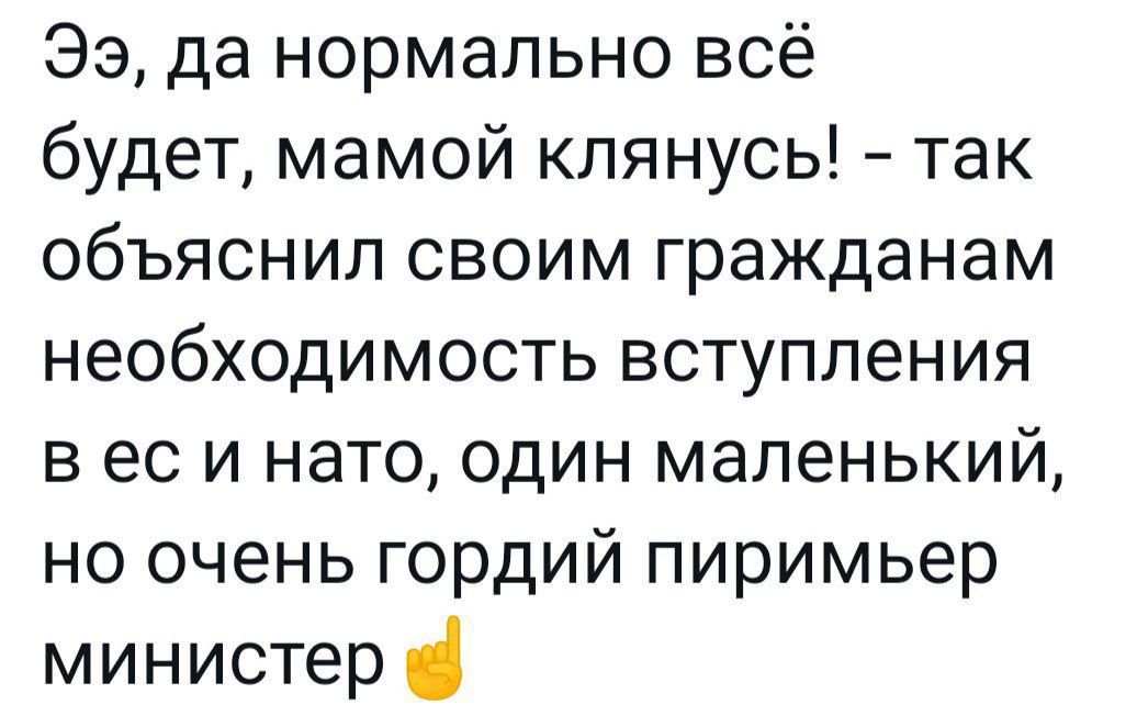 33 да нормально всё будет мамой клянусь так объяснил своим гражданам необходимость вступления в ес и нато один маленький но очень гордий пиримьер министер