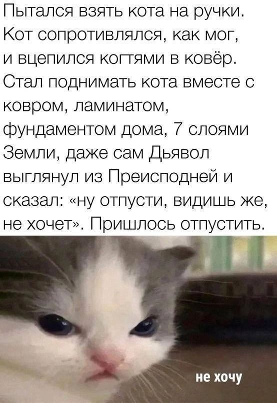 Пытался взять кота на ручки Кот сопротивлялся как мог и вцепился когтями в ковёр Стал поднимать кота вместе с ковром ламинатом фундаментом дома 7 слоями Земли даже сам Дьявол выглянул из Преисподней и сказал ну отпусти видишь же не хочет Пришлось отпустить