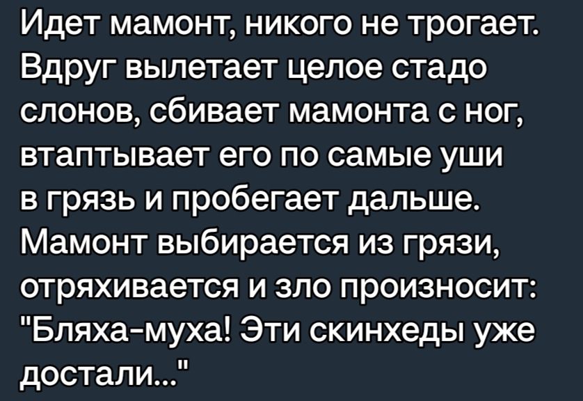 Идет мамонт никого не трогает Вдруг вылетает целое стадо слонов сбивает мамонта с ног втаптывает его по самые уши в грязь и пробегает дальше Мамонт выбирается из грязи отряхивается и зло произносит Бляхамуха Эти скинхеды уже достали