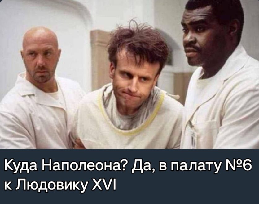 Куда Наполеона Да в палату 6 к Людовику Х